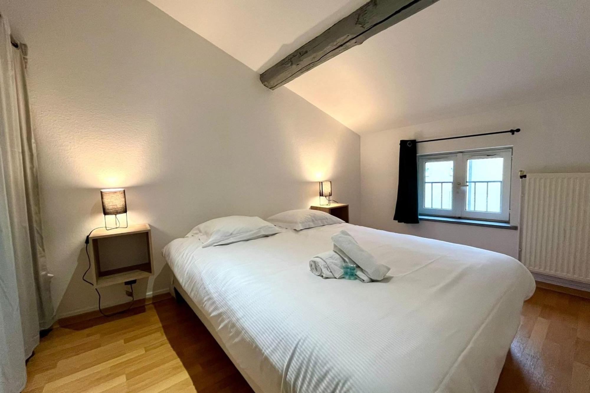 南锡Le Duplex Des Dames公寓 外观 照片